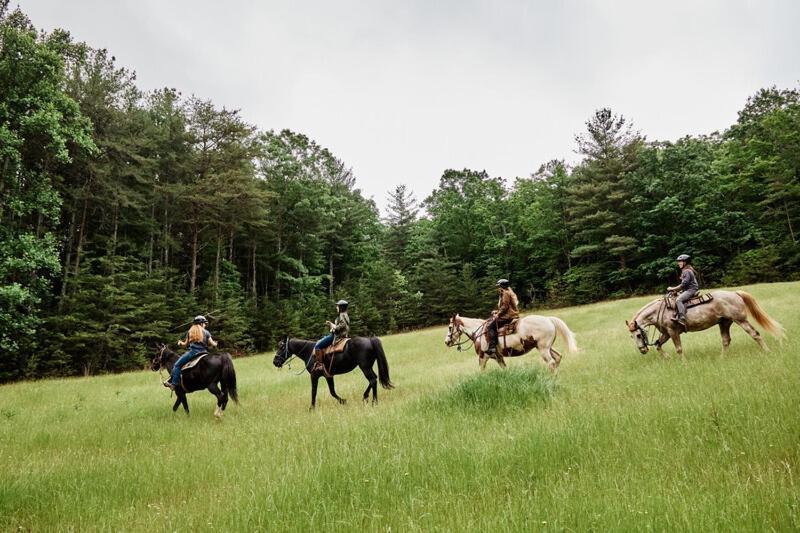 Primland Resort, Auberge Resorts Collection Meadows of Dan Exteriör bild