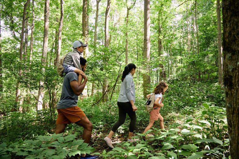 Primland Resort, Auberge Resorts Collection Meadows of Dan Exteriör bild